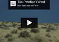 The Petrified Forest Slideshow
