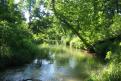 Rivers  Streams