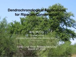 SCR Researchers Day 2009  McCoy  Applications of Dendrochronology to Riparian Conservation