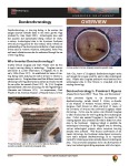 Dendochronology