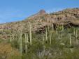 Arid Land Parks