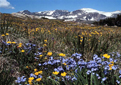High Elevation Parks