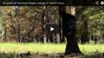 70 years of montane forest change in Grand Canyon National Park Resurveying 1935 plots