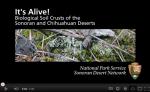 Its Alive Biological Soil Crusts in the Sonoran  Chihuahuan Deserts