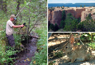 Southern Colorado Plateau Network