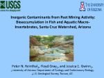 2013  Rienthal  Inorganic contaminants from past mining activity