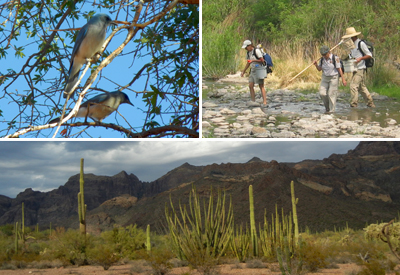 Sonoran Desert Network