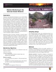 Sonoran Desert Washes Monitoring
