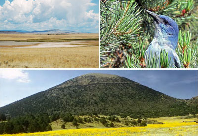 Photos of Southern Plains Natural Resources