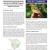 Monitoring Avian Productivity  Survival MAPS Program