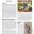 Big Bend NP Bird Studies