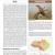 Birds of the American Southwest