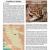 Chihuahuan Desert Amphibians  Reptiles
