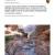 2013 Grand Canyon NP Aquatic Macroinvertebrate Monitoring