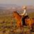 Southern Colorado Plateau Land Use Land Cover  Landscape Vegetation Patterns