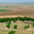 Landscape Dynamics  Human Demographics 