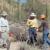 Saguaro NP Resourcebased Volunteering