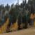 Southern Colorado Plateau Vegetation Mapping
