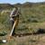 Sonoran Desert Washes Monitoring