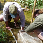 Monitoring macroinvertebrates in the Southern Colorado Plateau Network