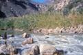 Rio Grande Wild and Scenic River