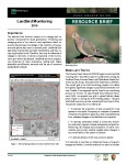 2010 Casa Grande Ruins NM Landbird Monitoring