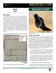 2009 Casa Grande Ruins NM Landbird Monitoring