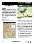 2010 Montezuma Castle NM Landbird Monitoring