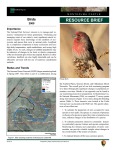 2009 Montezuma Castle NM Landbird Monitoring