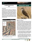 2010 Tonto NM Landbird Monitoring
