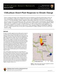 Chihuahuan Desert Plant Responses to Climate Change