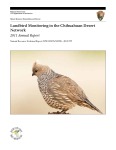 2011 Chihuahuan Desert Landbird Monitoring