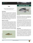 Fort Larned NHS Fish