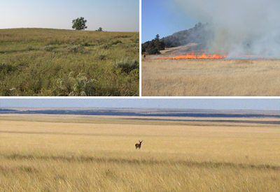 Upper Left:  NPS Photo;  Upper Right:  NPS Photo; Bottom:  Karrie Cherwin
