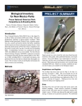 Pecos NHP Herpetofauna  Breeding Birds Inventory