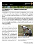 Southern Plains Prairie Restoration