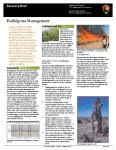 Saguaro NP Buffelgrass Research  Management