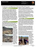 Saguaro NP Invasive Plant Volunteer Program