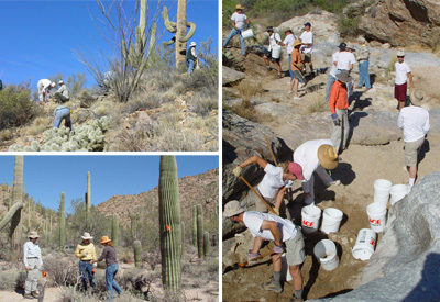 Saguaro NP volunteers