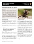 2010 Sonoran Desert Landbirds Monitoring