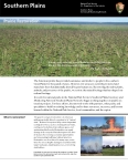 Southern Plains Prairie Restoration