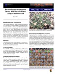 Recovering the endangered Sentry MilkVetch in Grand Canyon National Park