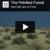 The Petrified Forest Slideshow