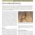 2012 Capulin Volcano NM Landbird Monitoring