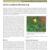 2012 Fort Larned NHS Landbird Monitoring