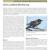 2012 Lyndon B Johnson NHP Landbird Monitoring