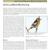 2012 Sand Creek Massacre NHS Landbird Monitoring