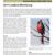 2011 Amistad NRA Landbird Monitoring