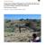 2008 Aztec Ruins NM Integrated Upland Monitoring