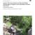 2008 Bandelier NM Aquatic Macroinvertebrates Monitoring